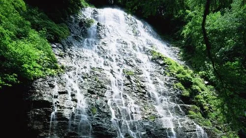 高性能高端
